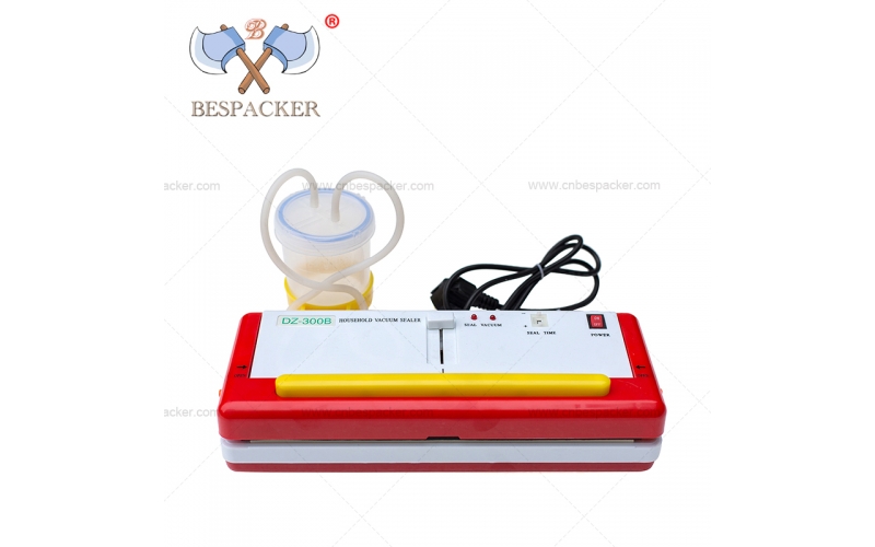 DZ-300B Portable household vacuum sealer suitable for dry and wet